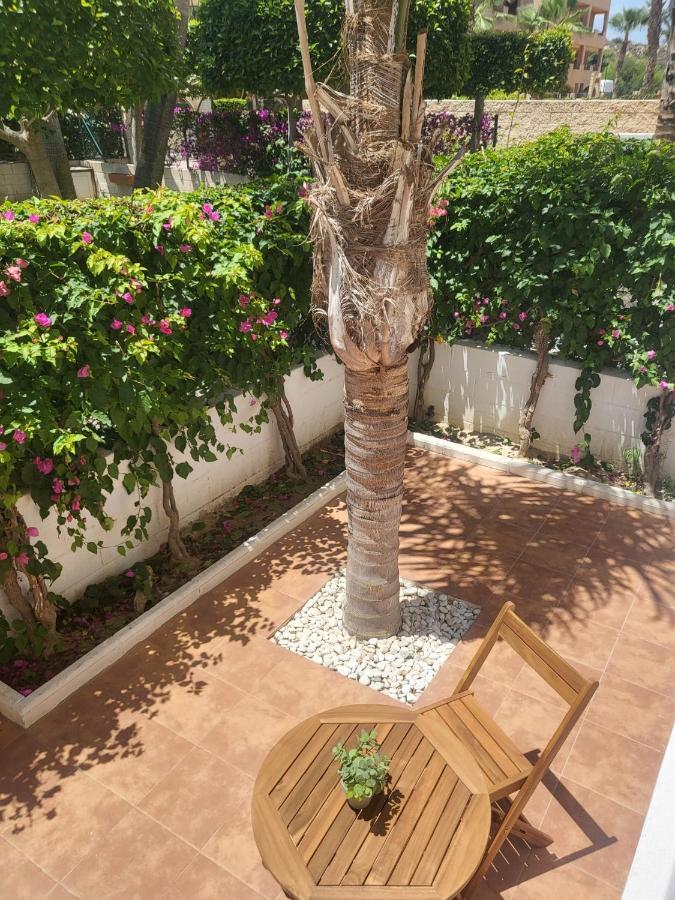 ¡Bajo Precioso Con Salida Directa A La Piscina Comunitaria En Paraiso De Vera! Exterior foto