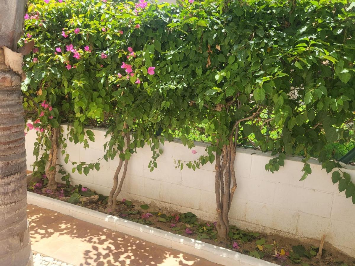 ¡Bajo Precioso Con Salida Directa A La Piscina Comunitaria En Paraiso De Vera! Exterior foto